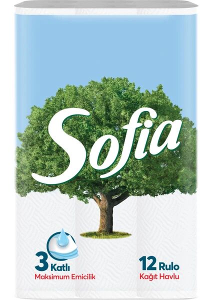 Sofia 3 Katlı Kağıt Havlu 12 li